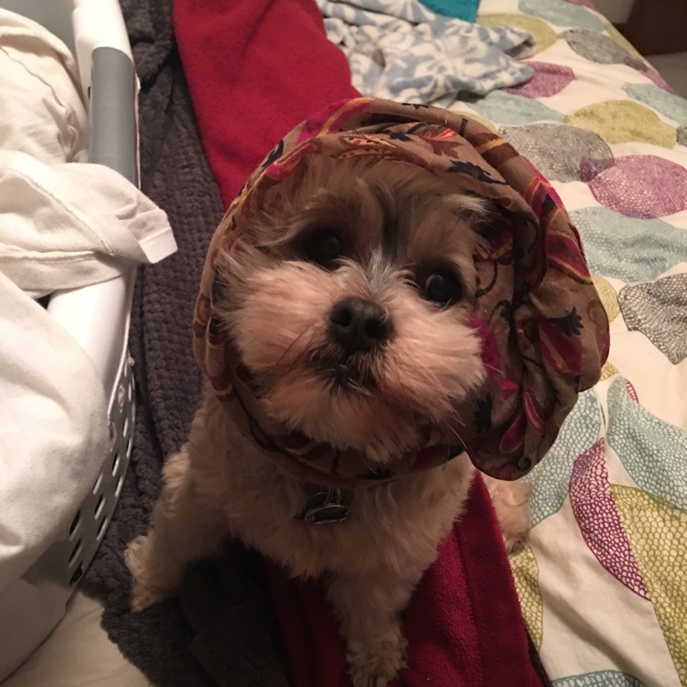 Meet your Posher, Tracey